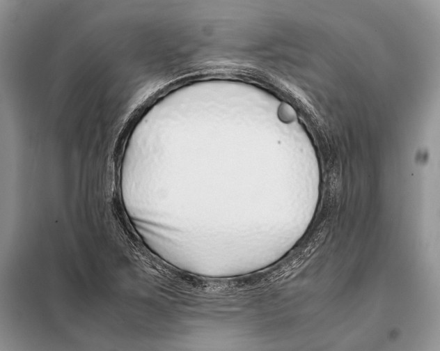 X0000098081267200805021013