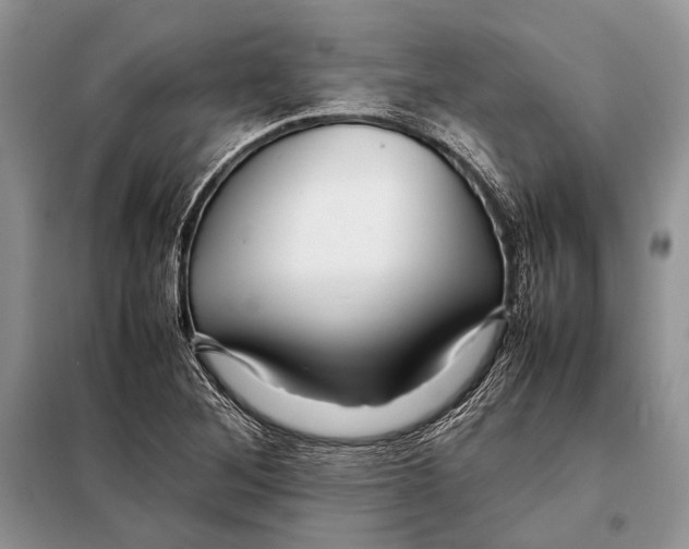 X0000098081268200805021013