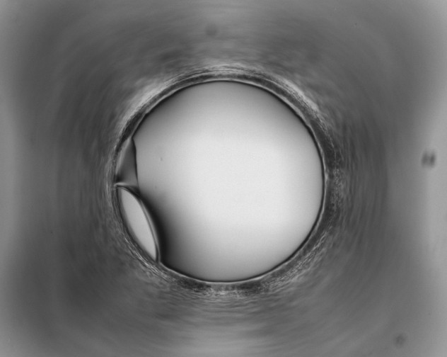 X0000098081269200805021013