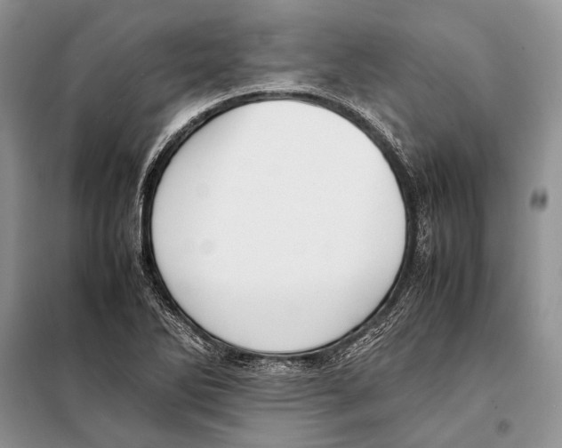 X0000098081270200805021013
