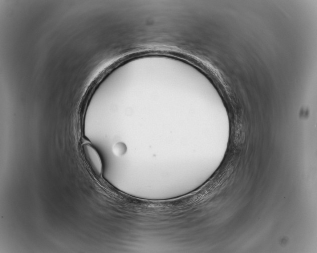 X0000098081271200805021013
