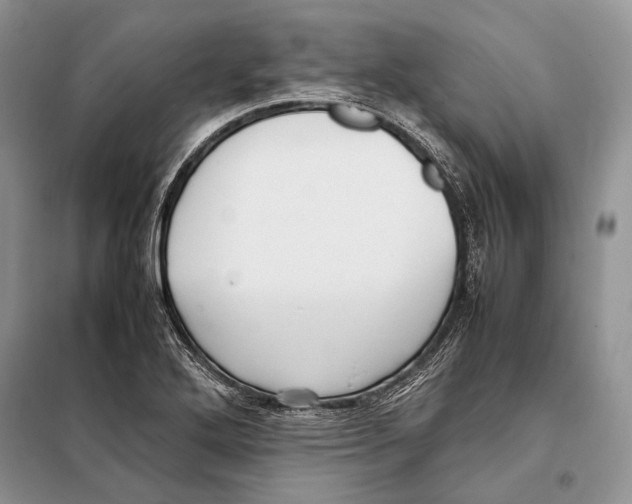 X0000098081272200805021013