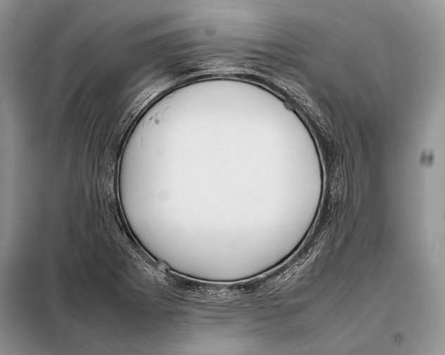 X0000098081273200805021013