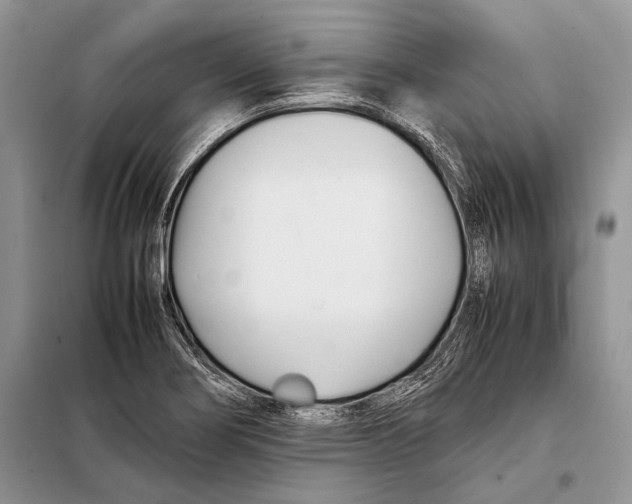 X0000098081274200805021013