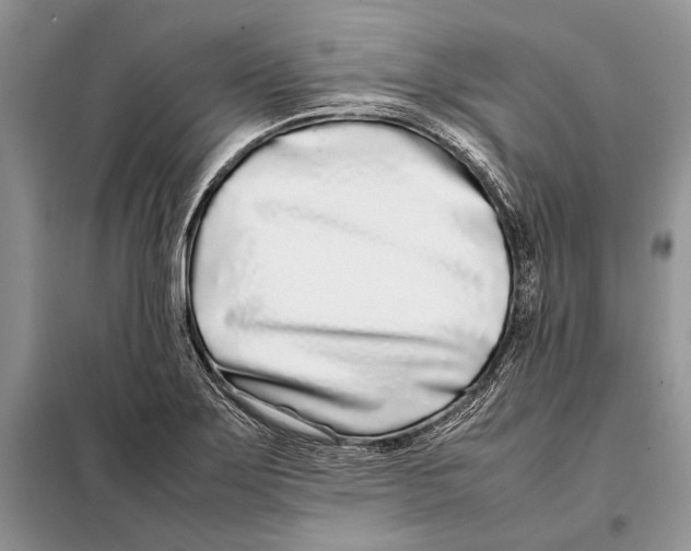 X0000098081275200805021013