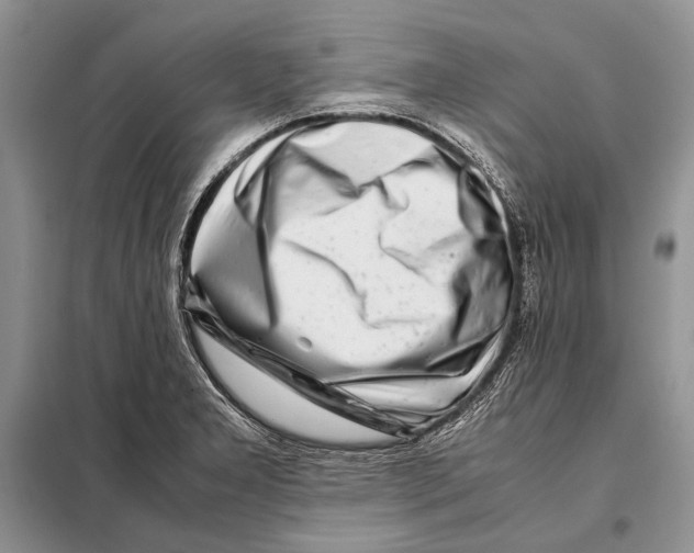 X0000098081277200805021013