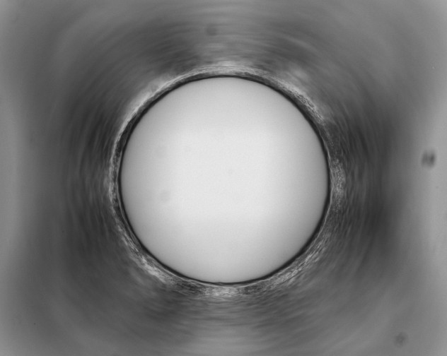 X0000098081278200805021013