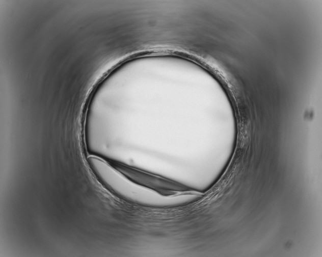 X0000098081279200805021013
