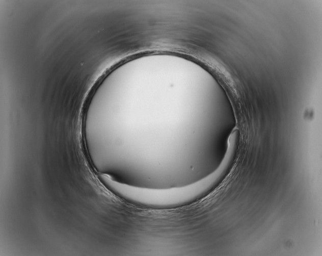 X0000098081280200805021013