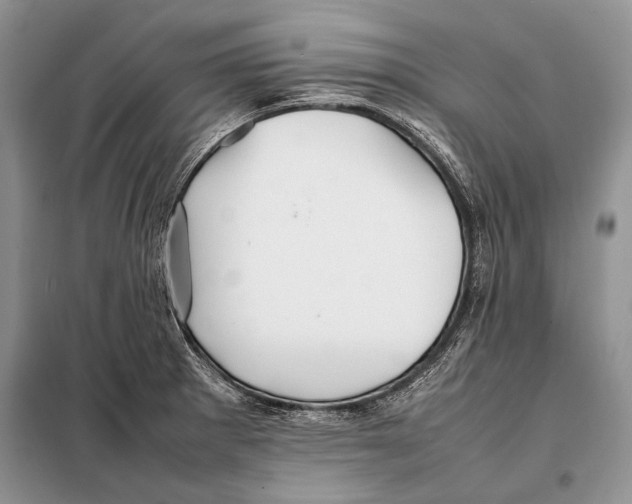 X0000098081281200805021013