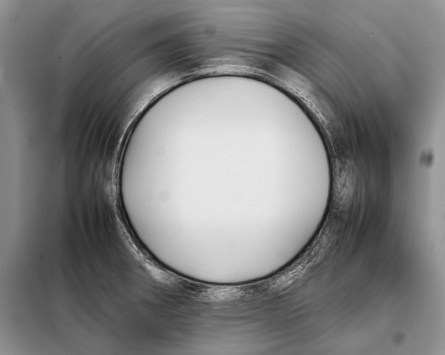 X0000098081282200805021013