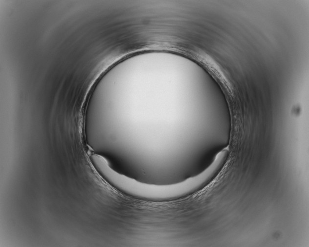 X0000098081284200805021013