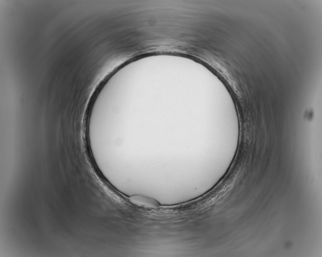 X0000098081285200805021013