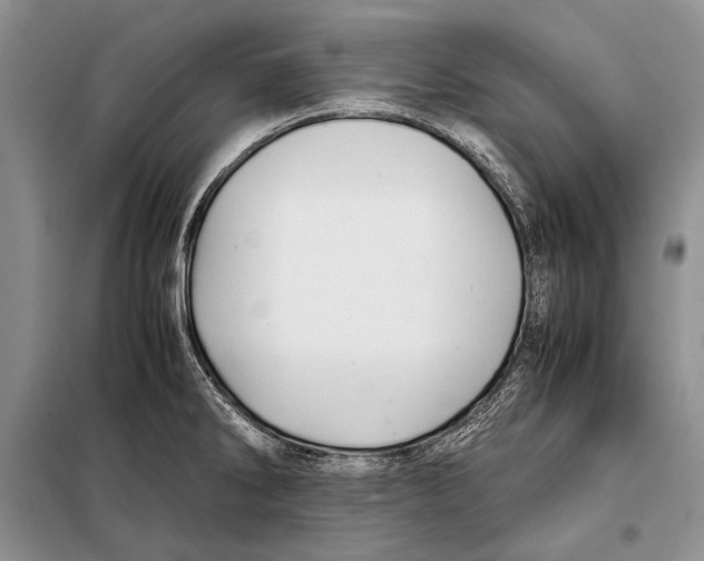 X0000098081286200805021013
