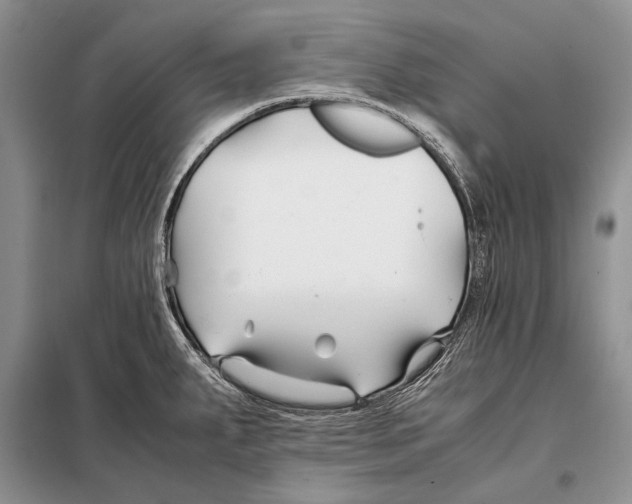 X0000098081287200805021013