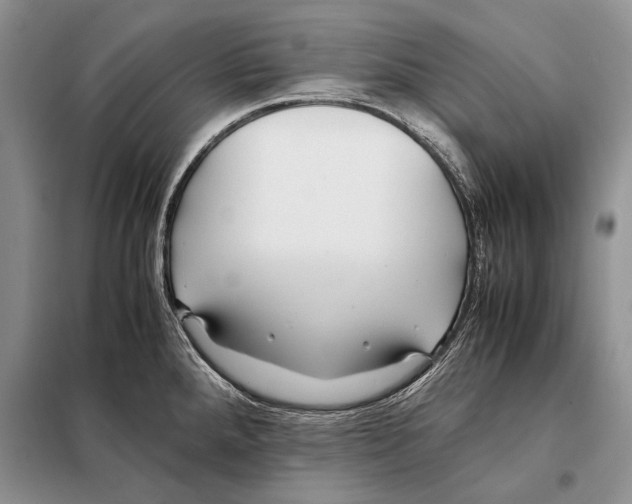 X0000098081288200805021013
