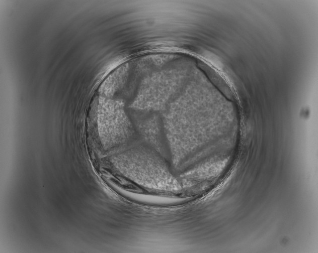 X0000098081289200805021013