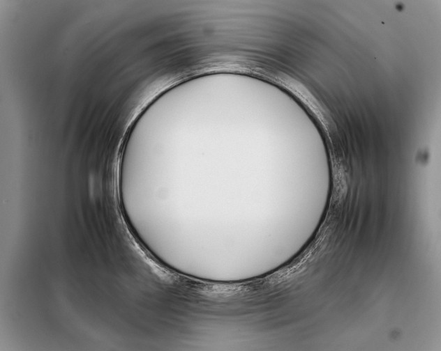 X0000098081290200805021013