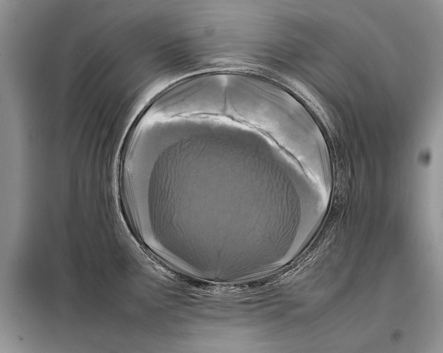 X0000098081291200805021013