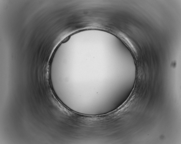 X0000098081292200805021013