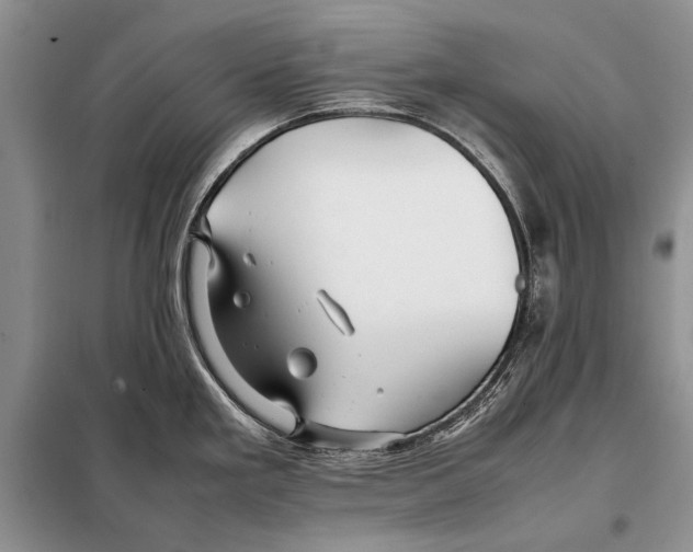 X0000098081293200805021013