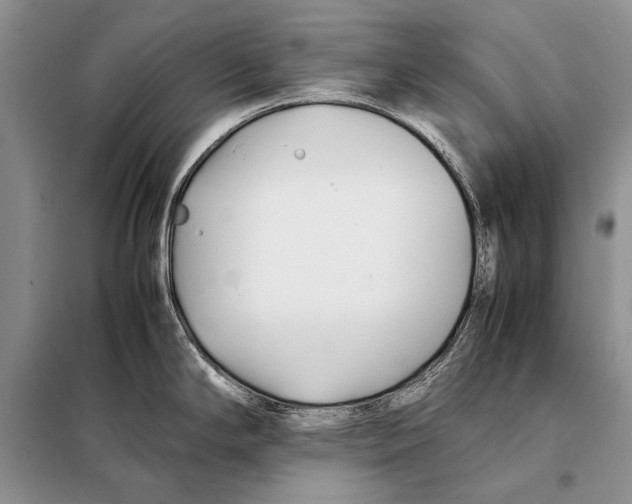 X0000098081294200805021013