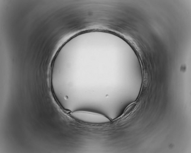 X0000098081295200805021013