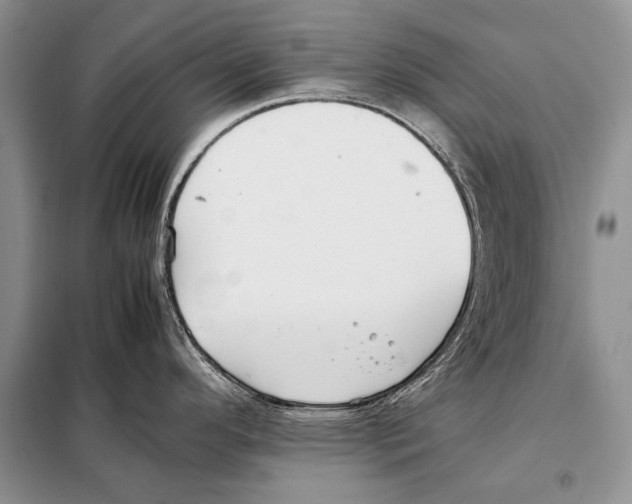 X0000098081296200805021013