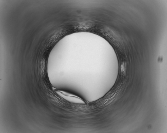 X0000098081299200805021012