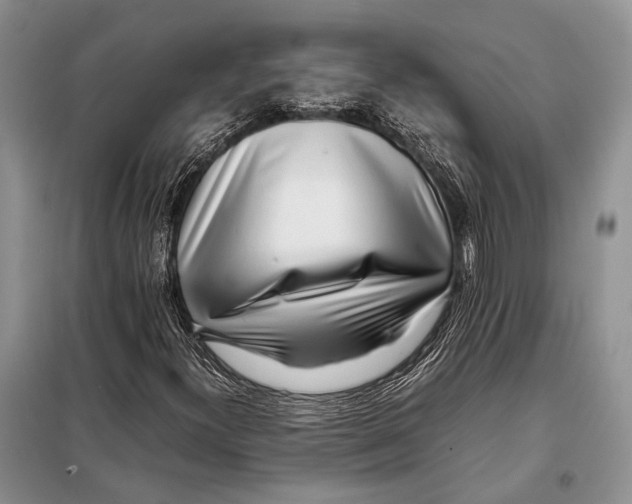 X0000098081300200805021012