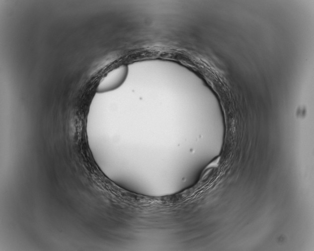 X0000098081302200805021012