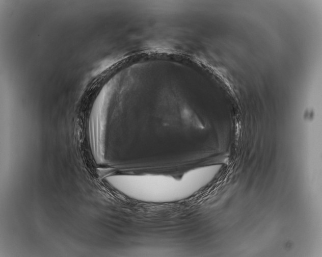 X0000098081303200805021012