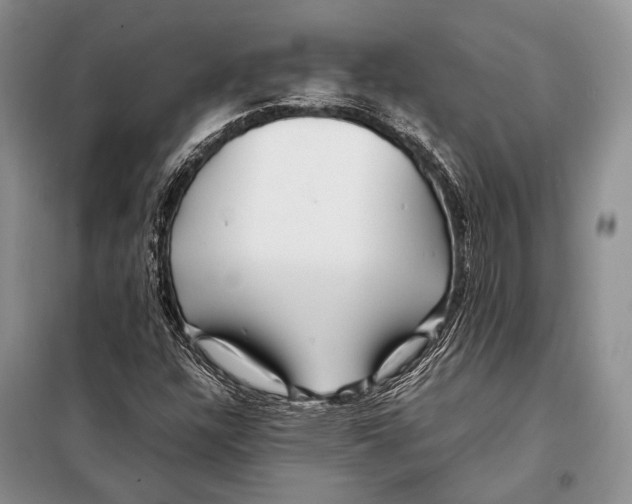 X0000098081304200805021012
