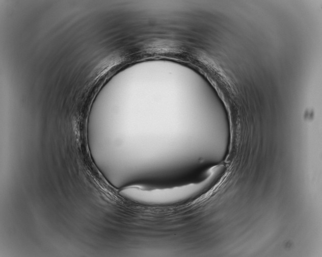 X0000098081305200805021012