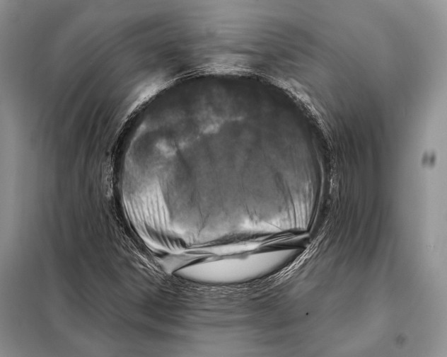 X0000098081306200805021012