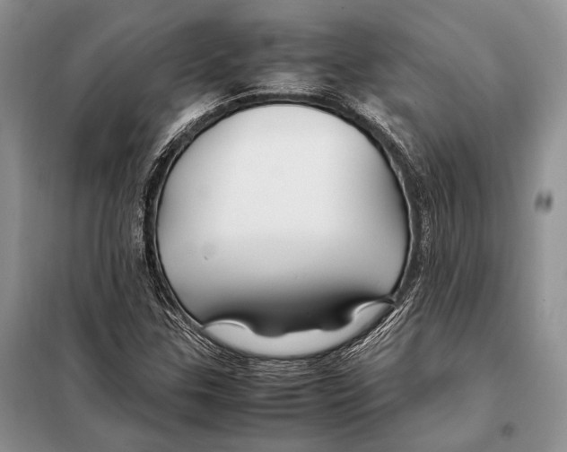 X0000098081307200805021012