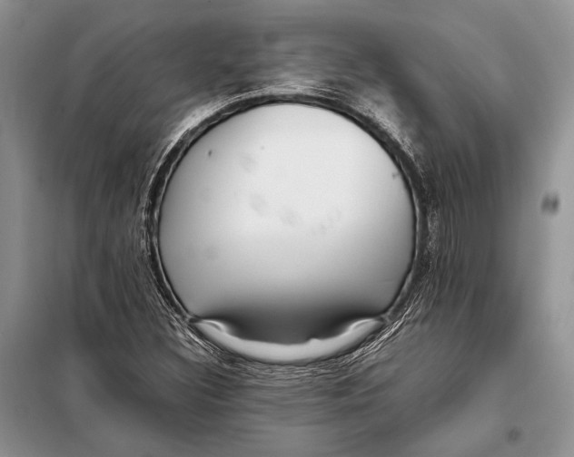 X0000098081308200805021012