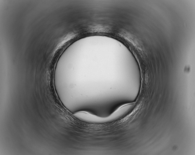 X0000098081309200805021012