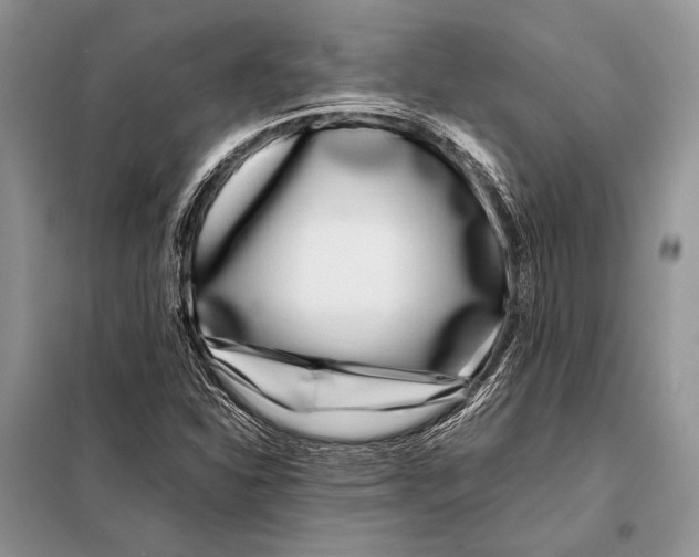 X0000098081310200805021012