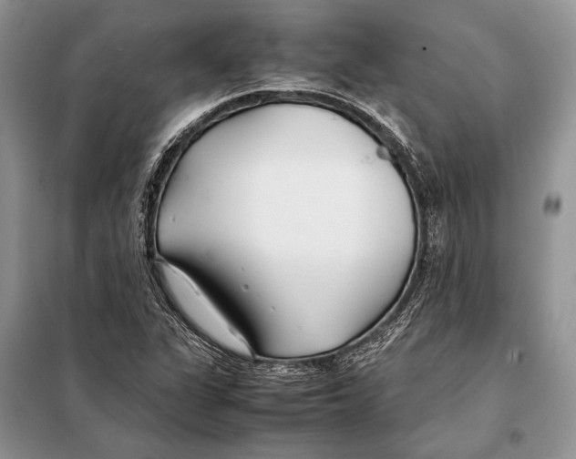 X0000098081311200805021012