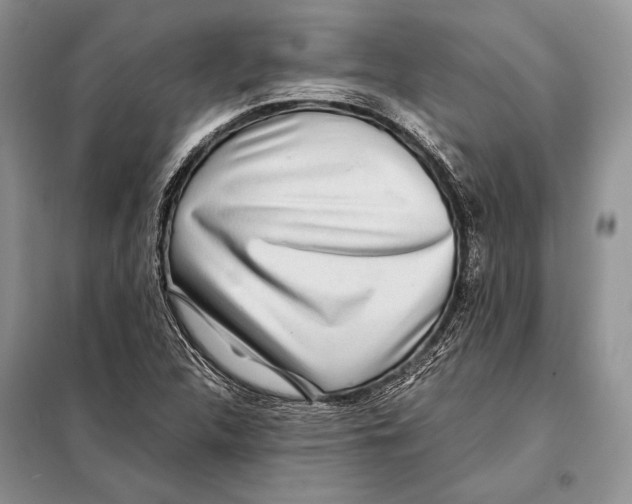 X0000098081312200805021012