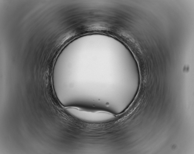 X0000098081313200805021012