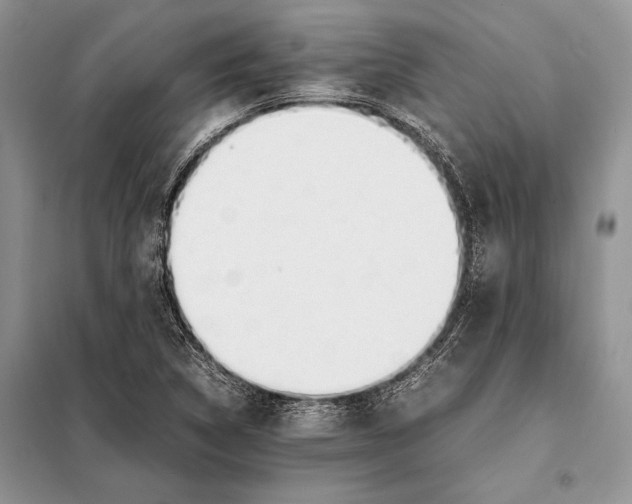 X0000098081314200805021012