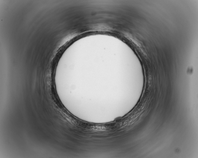 X0000098081315200805021012