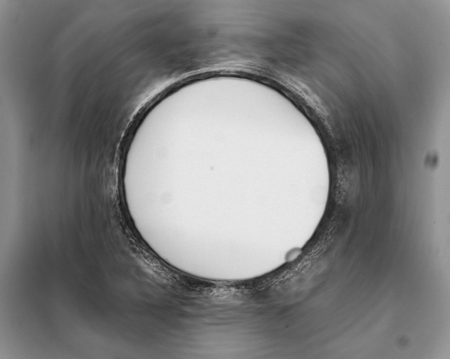 X0000098081316200805021012
