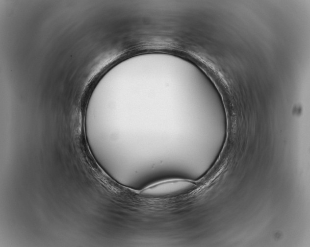 X0000098081317200805021012