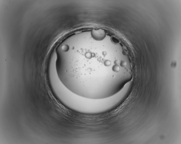 X0000098081318200805021012