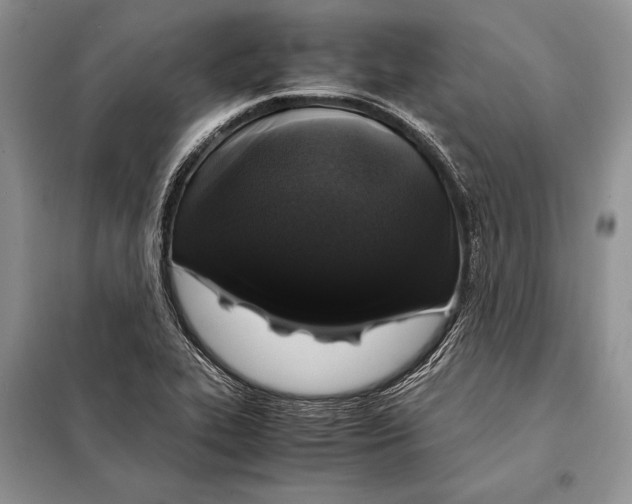 X0000098081319200805021012
