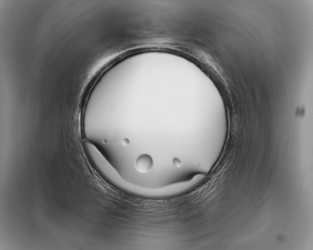 X0000098081320200805021012