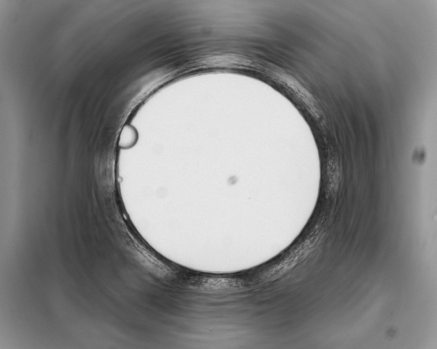 X0000098081322200805021012
